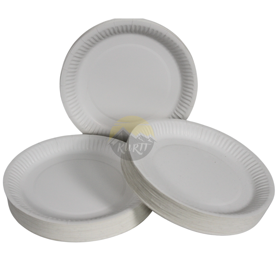 Kartonnen borden 16 cm - 100 stuks