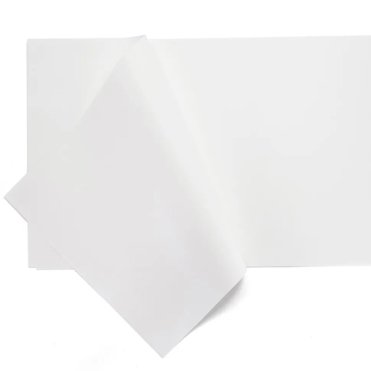 Parchment paper 25 cm x 32.5 cm - 10 KG