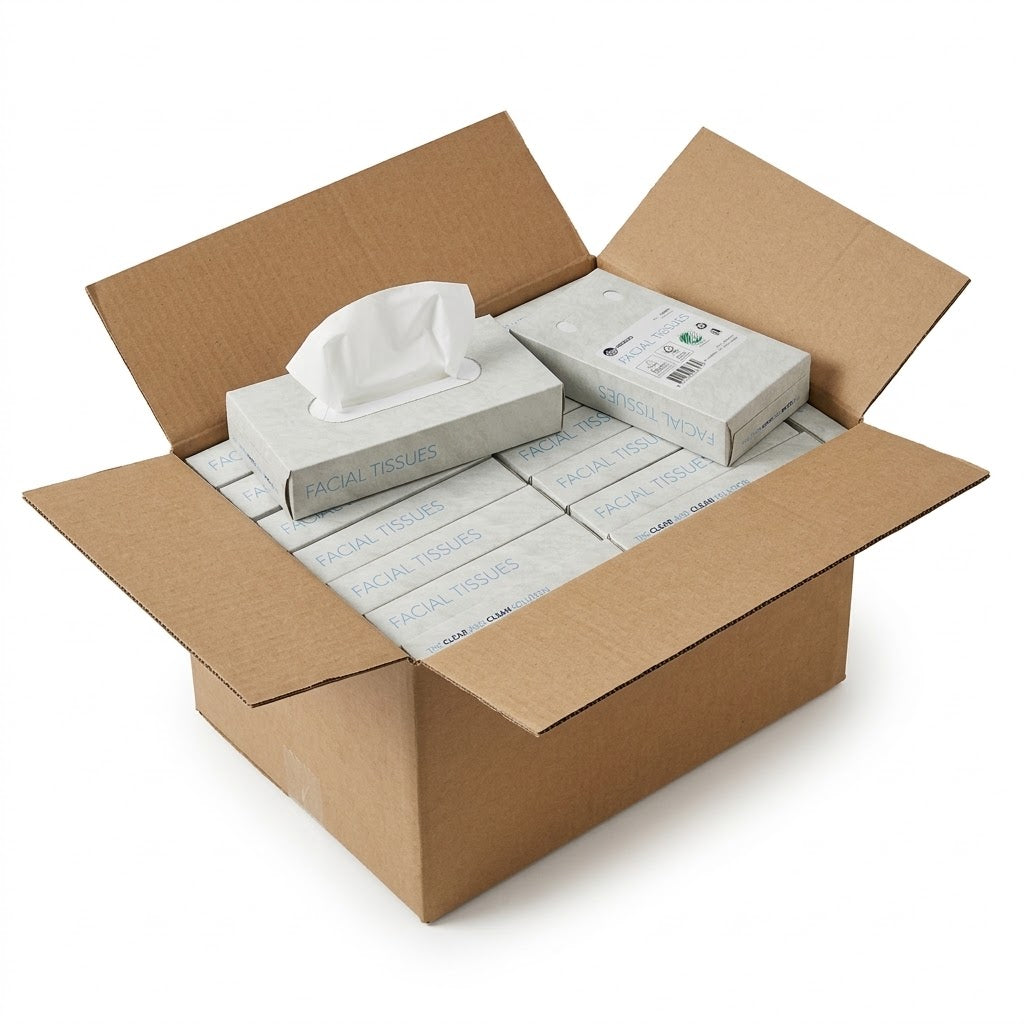 1000x Zakdoekjes, 2-laags facial tissue (10 x 100) papieren zakdoekjes, 20x20 cm, fsc en ecolabel - reinigingsdoekjes cellulose