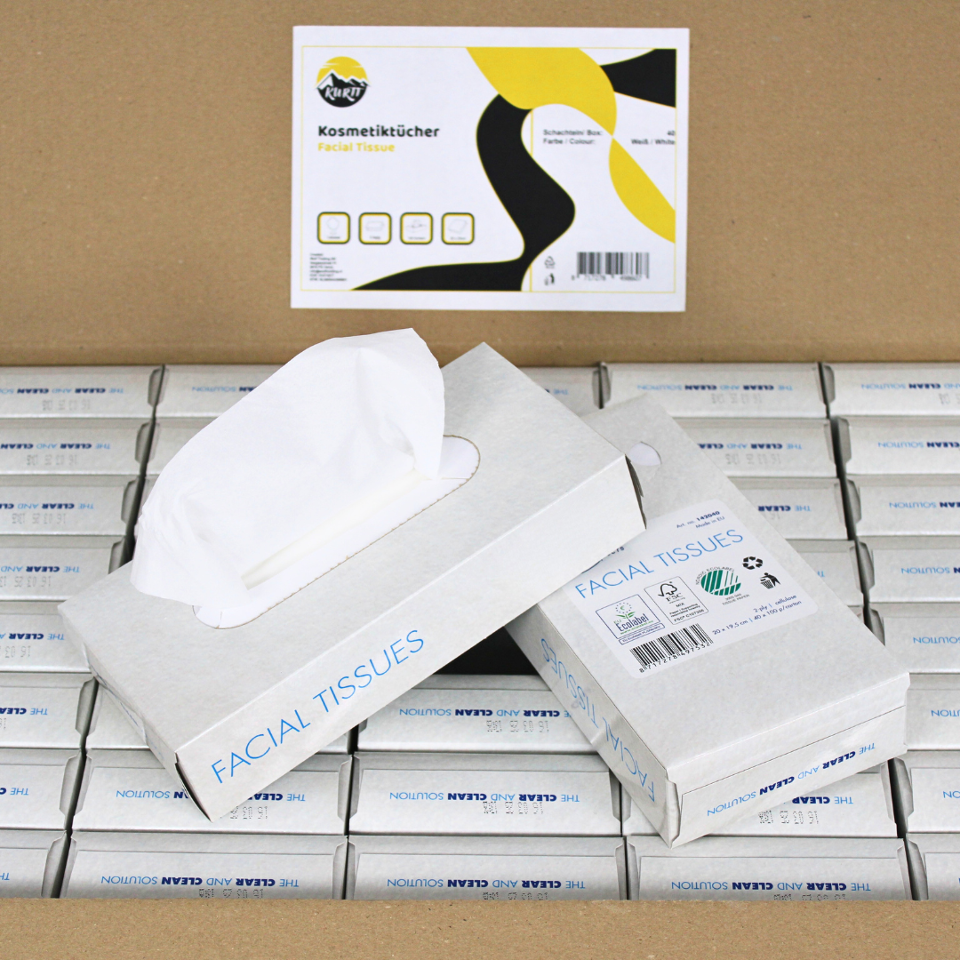 4000 Zakdoekjes, 2-laags, 20x20 cm Voordeelverpakking, (40 x 100) papieren zakdoekjes, fsc en ecolabel - reinigingsdoekjes