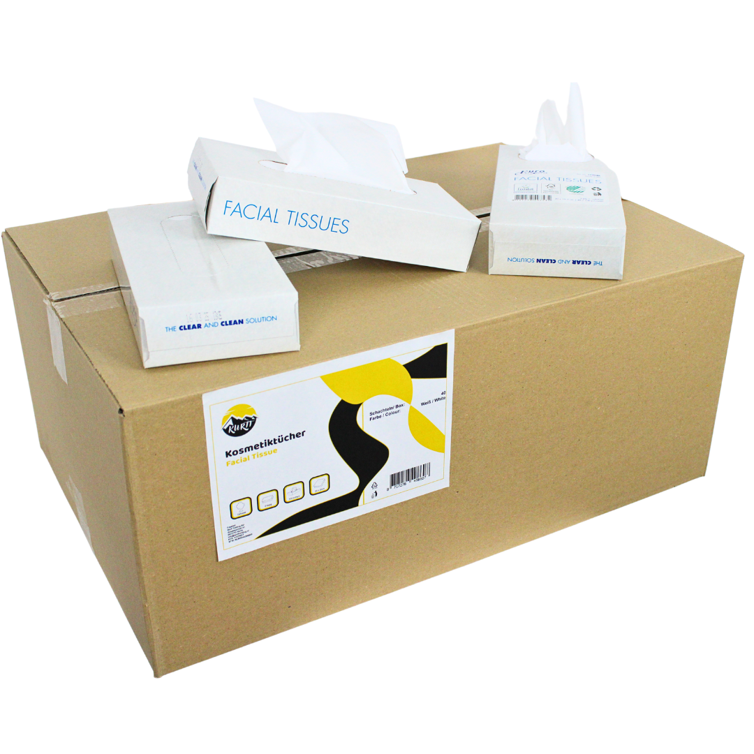 4000 Zakdoekjes, 2-laags, 20x20 cm Voordeelverpakking, (40 x 100) papieren zakdoekjes, fsc en ecolabel - reinigingsdoekjes