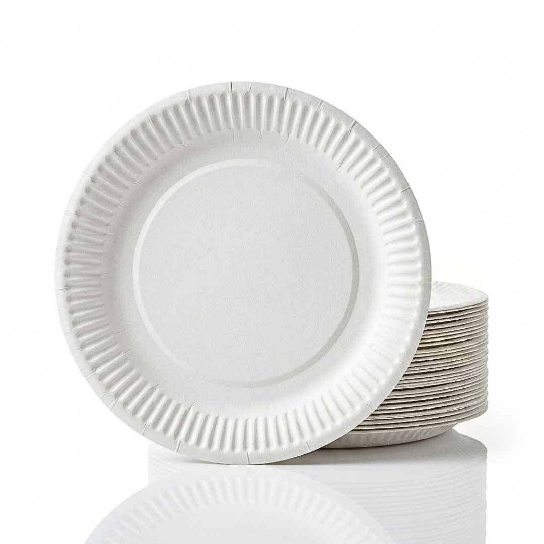 Kartonnen Borden 23cm – 100 Stuks Wegwerp Dinerborden BBQ Wit
