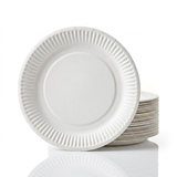 Kartonnen Borden 23cm – 100 Stuks Wegwerp Dinerborden BBQ Wit