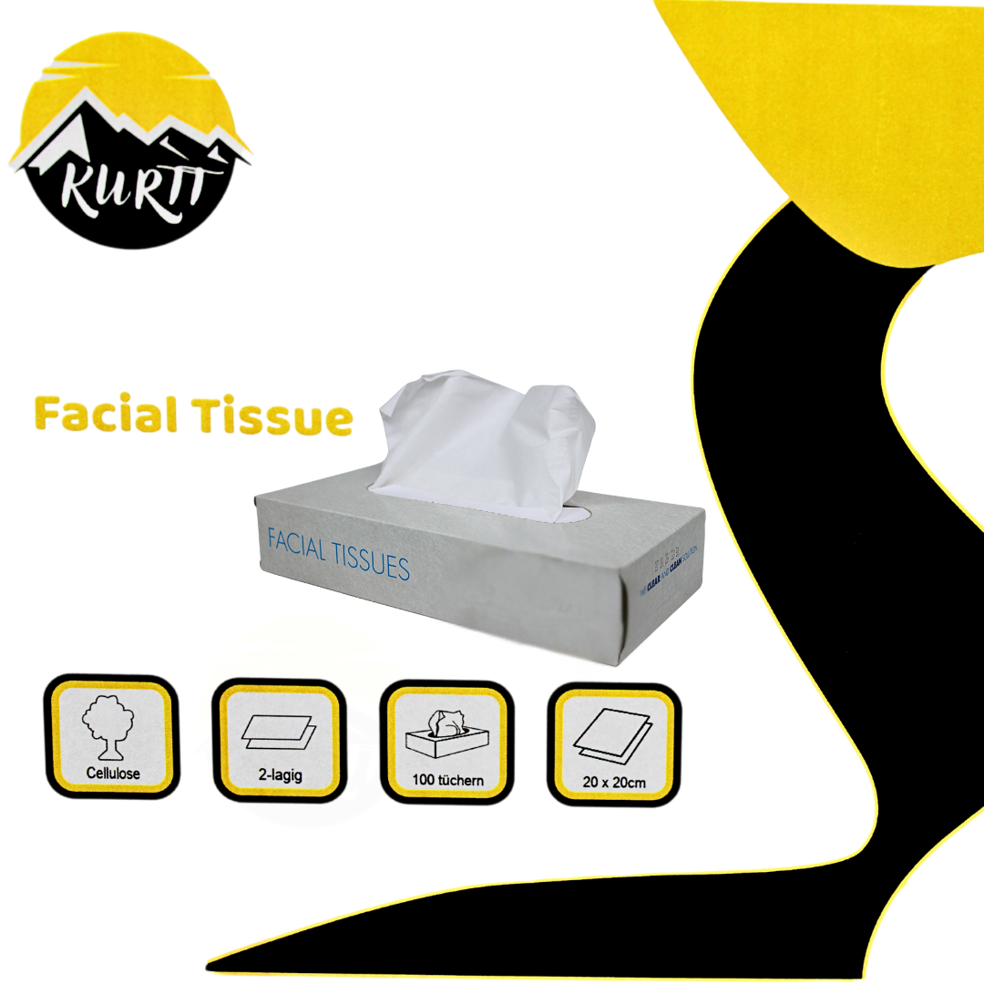 1000x Zakdoekjes, 2-laags tissue (10 x 100) papieren zakdoekjes, 20x20 cm, fsc en ecolabel - reinigingsdoekjes cellulose