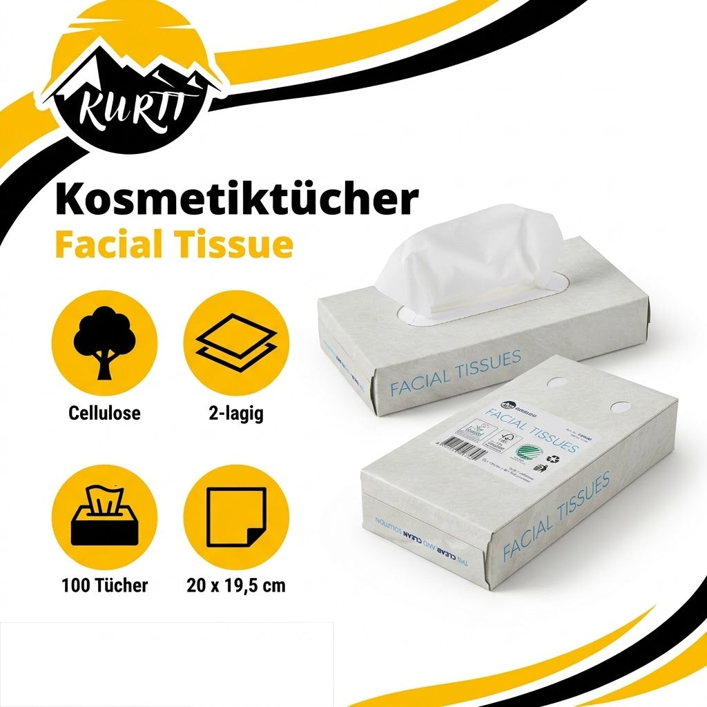 1000x Zakdoekjes, 2-laags facial tissue (10 x 100) papieren zakdoekjes, 20x20 cm, fsc en ecolabel - reinigingsdoekjes cellulose