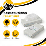 1000x Zakdoekjes, 2-laags facial tissue (10 x 100) papieren zakdoekjes, 20x20 cm, fsc en ecolabel - reinigingsdoekjes cellulose