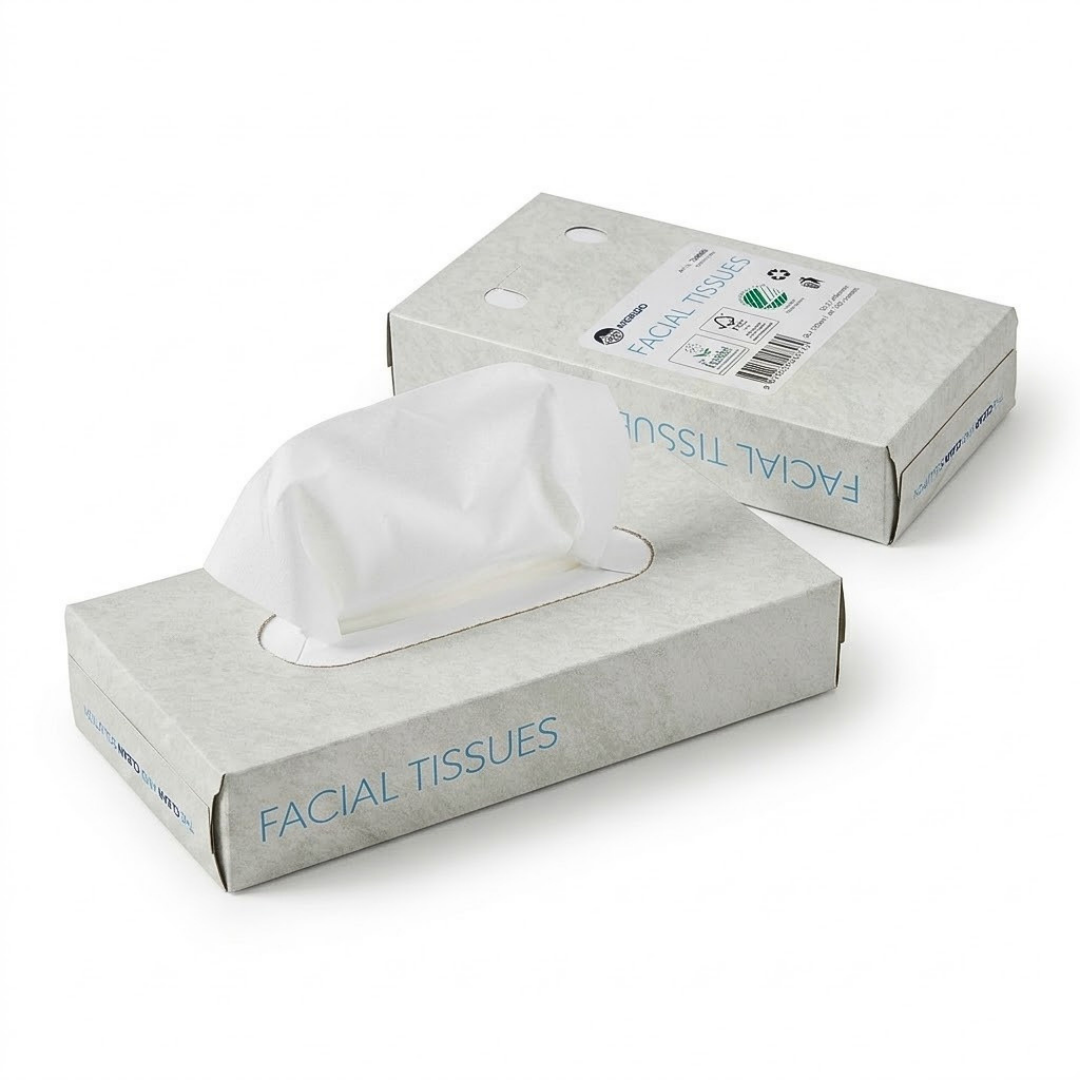1000x Zakdoekjes, 2-laags facial tissue (10 x 100) papieren zakdoekjes, 20x20 cm, fsc en ecolabel - reinigingsdoekjes cellulose