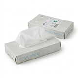 1000x Zakdoekjes, 2-laags facial tissue (10 x 100) papieren zakdoekjes, 20x20 cm, fsc en ecolabel - reinigingsdoekjes cellulose