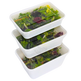 Microwave containers with lid white 1000ML - 50 pieces