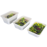 Microwave containers with lid white 1000ML - 50 pieces