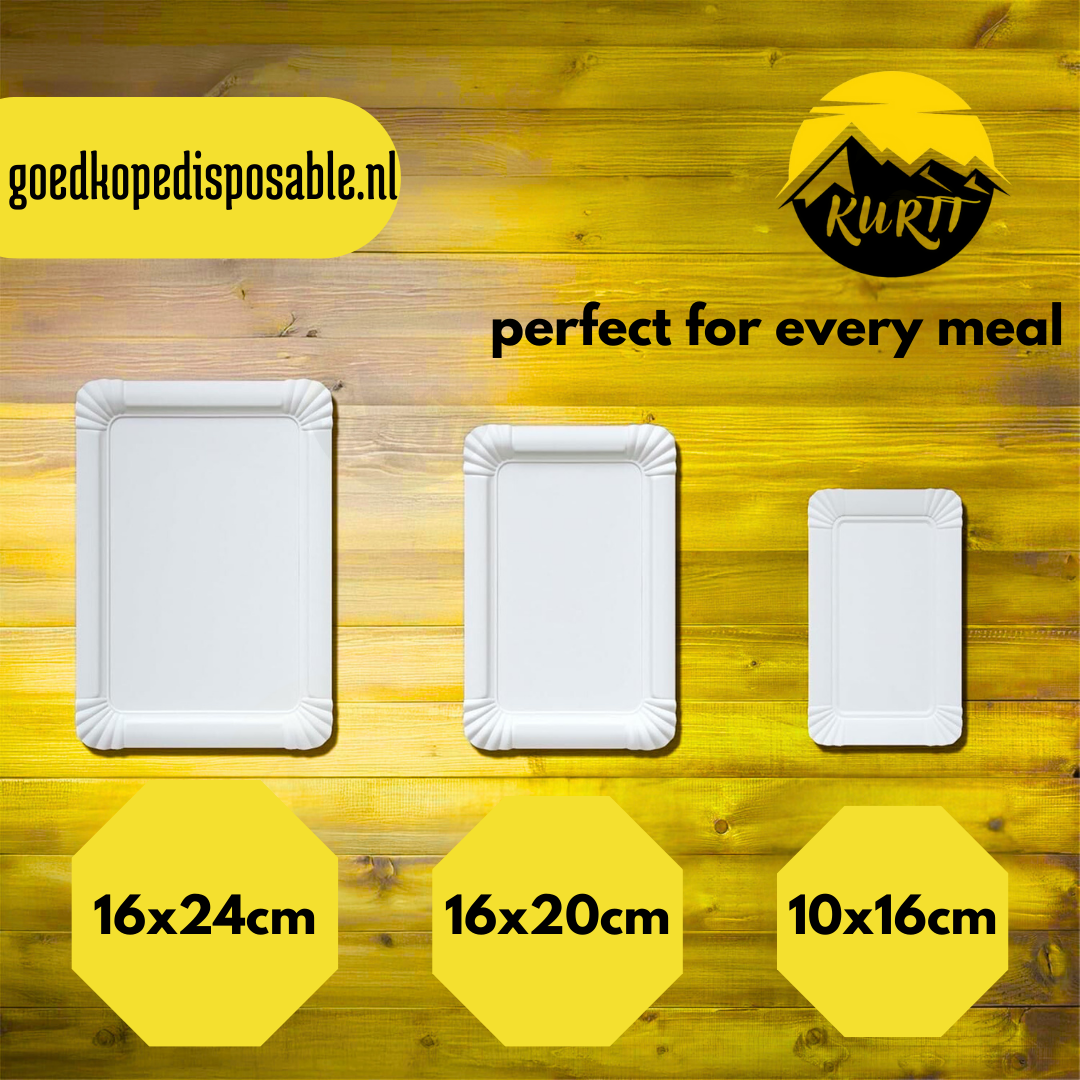 250x sterke Papieren bord/schaaltje 10x16cm wit - wegwerp schalen geschikt om snacks op te presenteren - barbecue - evenementen